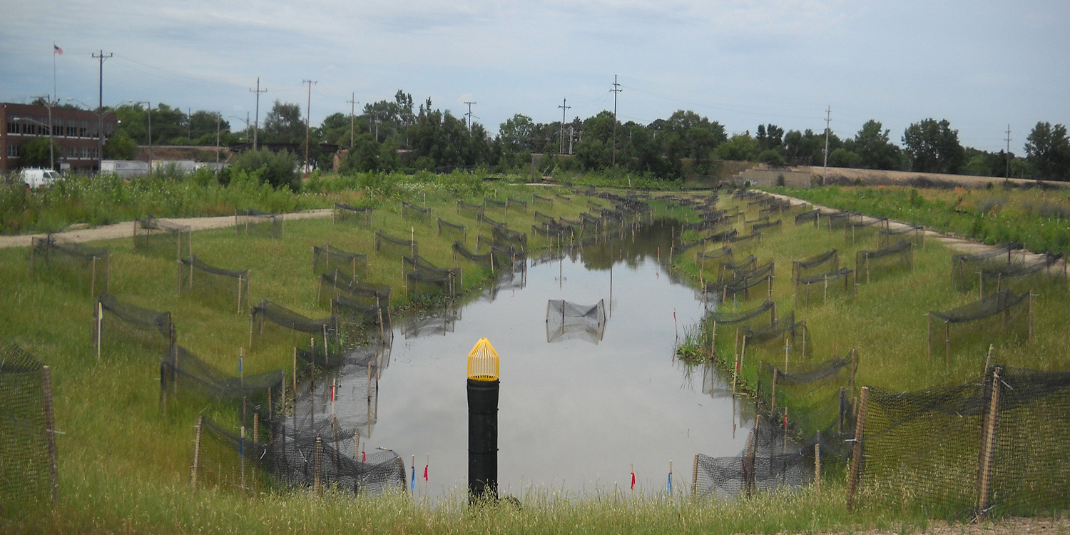 Sheridan Crossing Detention Pond | Ciorba Group